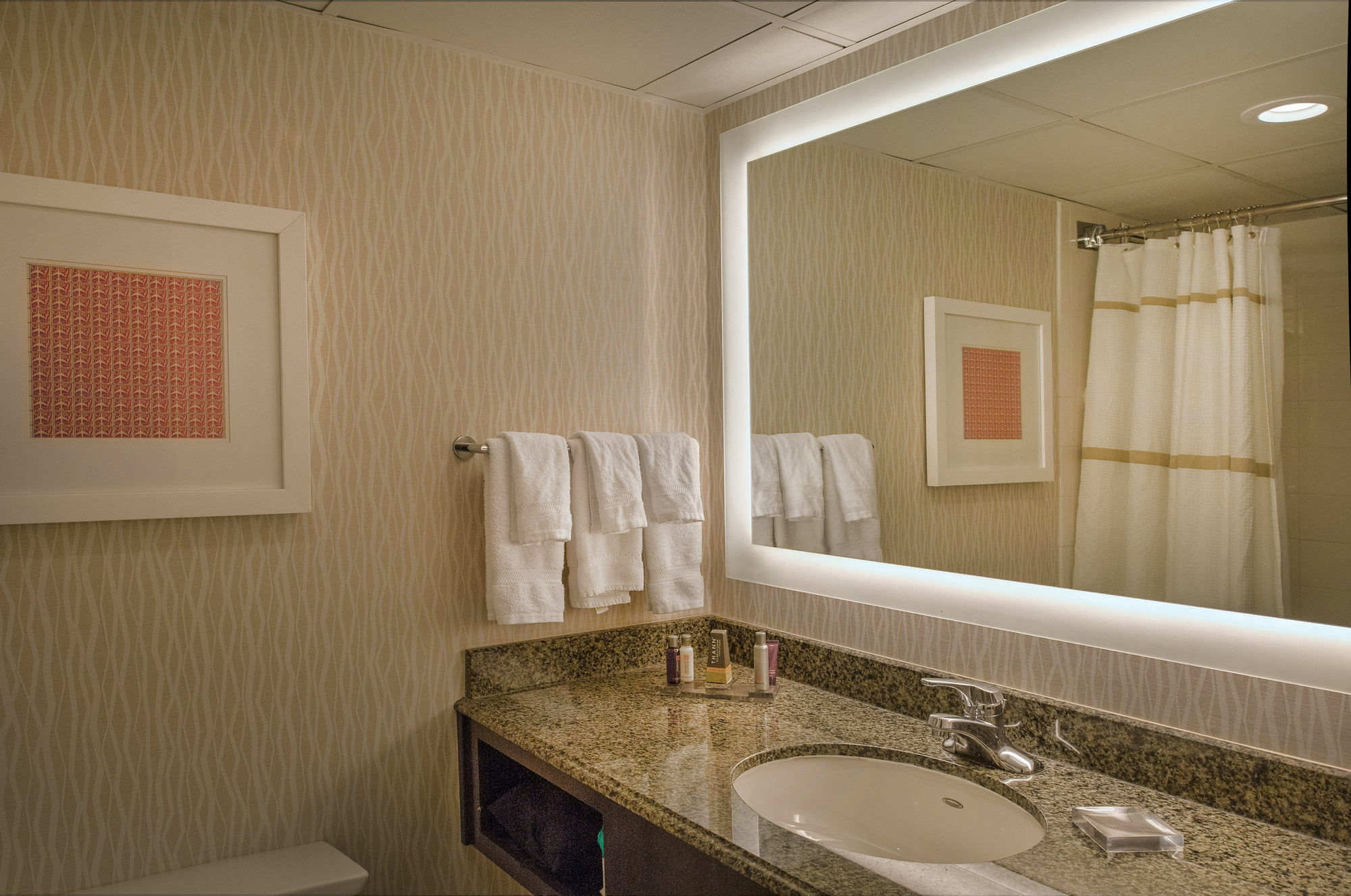 Marriott St. Louis Airport Hotel Edmundson Exterior photo